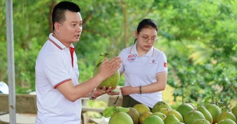 Úc tạm ngừng nhập khẩu bưởi tươi Việt Nam: Nhiều giải pháp tháo gỡ vướng mắc
