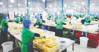 Ứng phó nguy cơ đứt gãy chuỗi cung ứng: Linh hoạt chuyển đổi thị trường, kiểm soát rủi ro