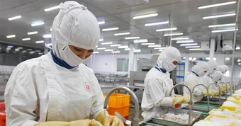 Vàng tăng phi mã trước xung đột Mỹ-Israel với Iran; thế mạnh Việt đón tin vui