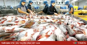 VASEP khuyến nghị doanh nghiệp thủy sản sau cảnh báo về sở hữu trí tuệ từ Hoa Kỳ