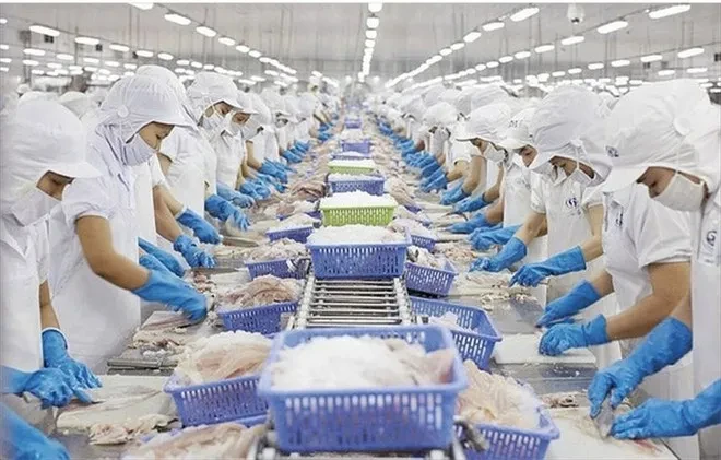 VASEP khuyến nghị doanh nghiệp thủy sản sau cảnh báo về sở hữu trí tuệ từ Hoa Kỳ VASEP khuyến nghị doanh nghiệp thủy sản sau cảnh báo về sở hữu trí tuệ từ Hoa Kỳ