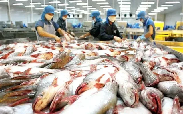 VASEP khuyến nghị doanh nghiệp thủy sản sau cảnh báo về sở hữu trí tuệ từ Hoa Kỳ VASEP khuyến nghị doanh nghiệp thủy sản sau cảnh báo về sở hữu trí tuệ từ Hoa Kỳ