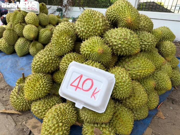 Vì sao cùng một loại nông sản nhưng giá bán chênh nhau cả chục lần? Vì sao cùng một loại nông sản nhưng giá bán chênh nhau cả chục lần?