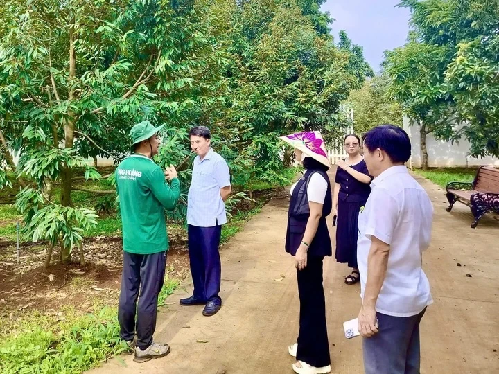 Vì sao cùng một loại nông sản nhưng giá bán chênh nhau cả chục lần? Vì sao cùng một loại nông sản nhưng giá bán chênh nhau cả chục lần?