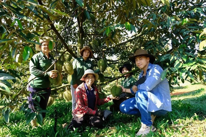 Vì sao cùng một loại nông sản nhưng giá bán chênh nhau cả chục lần? Vì sao cùng một loại nông sản nhưng giá bán chênh nhau cả chục lần?