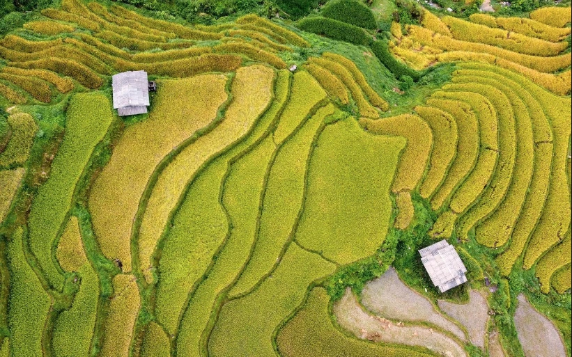 Việt Nam có “vịnh” 300 ha nằm giữa núi: Không thông ra biển, chỉ xuất hiện 4 tháng trong năm Việt Nam có “vịnh” 300 ha nằm giữa núi: Không thông ra biển, chỉ xuất hiện 4 tháng trong năm