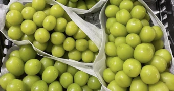 Việt Nam mua nhiều nho của Trung Quốc nhất, có loại bán ra chỉ 20.000-30.000 đồng/kg