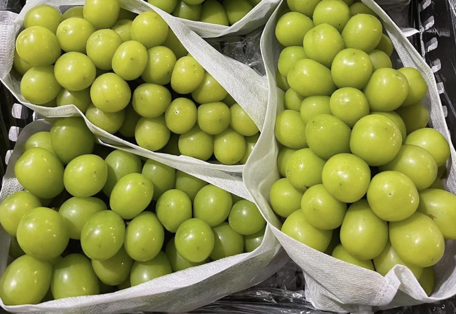 Việt Nam mua nhiều nho của Trung Quốc nhất, có loại bán ra chỉ 20.000-30.000 đồng/kg Việt Nam mua nhiều nho của Trung Quốc nhất, có loại bán ra chỉ 20.000-30.000 đồng/kg