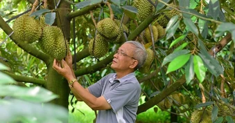 Việt Nam muốn hợp tác xuất khẩu gạo, sầu riêng với Thái Lan