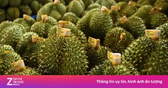Việt Nam muốn hợp tác xuất khẩu gạo và sầu riêng với Thái Lan