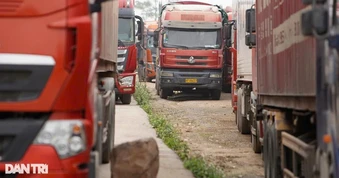 Việt Nam nhập siêu kỷ lục 23,5 tỷ USD, chuyên gia nói gì?