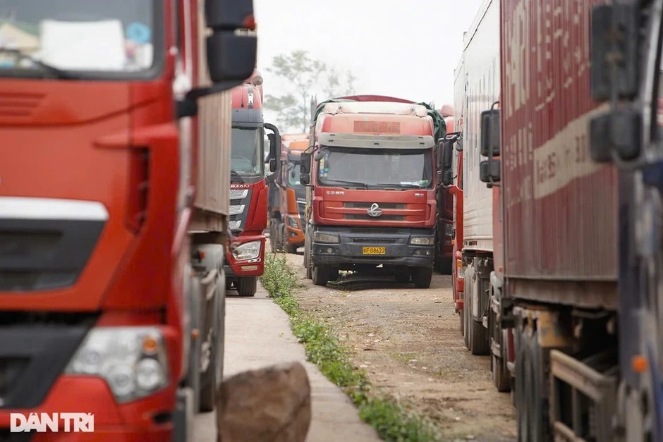 Việt Nam nhập siêu kỷ lục 23,5 tỷ USD, chuyên gia nói gì?