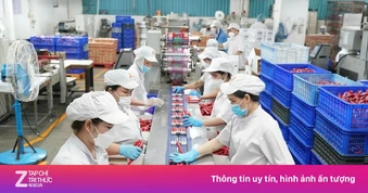 Vissan chi gần 1.600 tỷ dời nhà máy TP.HCM về Tây Ninh