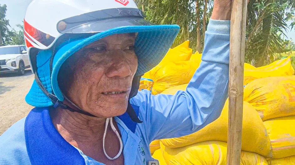 Vụ lúa hè thu 2026: Chi phí đầu vào cao, giá thấp, nông dân kêu lỗ vốn Vụ lúa hè thu 2026: Chi phí đầu vào cao, giá thấp, nông dân kêu lỗ vốn