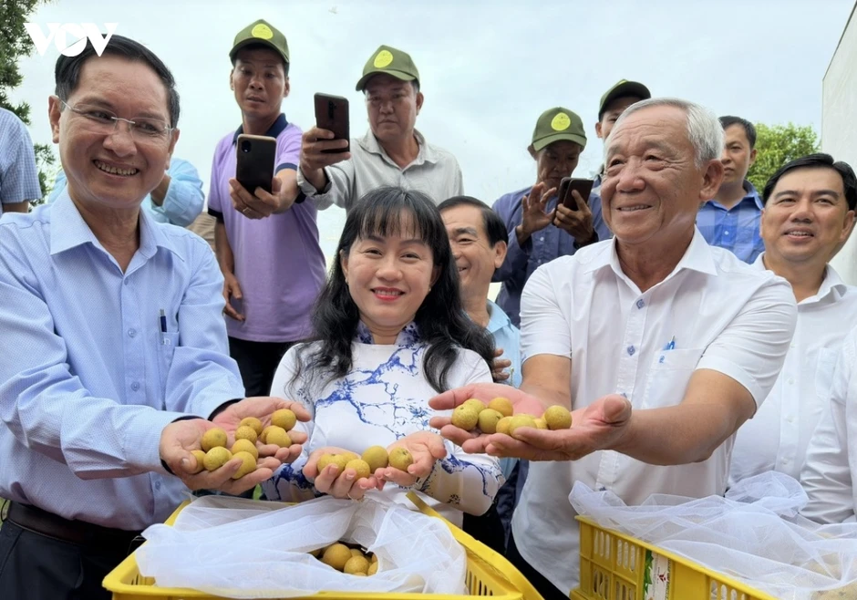 Vùng nguyên liệu minh bạch để nâng cao năng lực phòng vệ thương mại cho nông sản Vùng nguyên liệu minh bạch để nâng cao năng lực phòng vệ thương mại cho nông sản