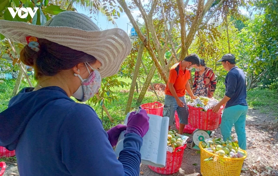 Vùng nguyên liệu minh bạch để nâng cao năng lực phòng vệ thương mại cho nông sản Vùng nguyên liệu minh bạch để nâng cao năng lực phòng vệ thương mại cho nông sản