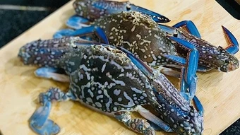 Xuất khẩu ghẹ Việt sang Mỹ tăng mạnh