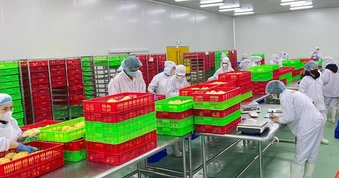 Xuất khẩu rau quả đạt gần 5 tỷ USD trong 7 tháng