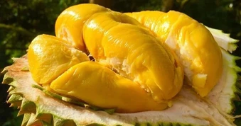 Xuất khẩu rau quả vượt 1,5 tỷ USD trong quý I