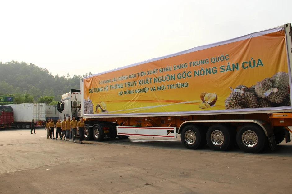 Xuất khẩu sầu riêng tăng bằng lần, giá Musang King giảm nhiệt Xuất khẩu sầu riêng tăng bằng lần, giá Musang King giảm nhiệt