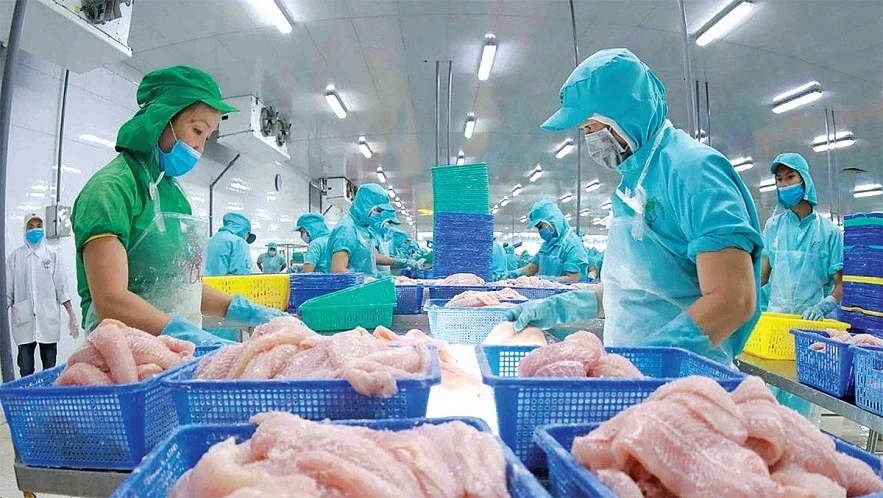 Xuất khẩu thủy sản sang Mỹ, EU lo ‘tắc’ vì thủ tục Xuất khẩu thủy sản sang Mỹ, EU lo ‘tắc’ vì thủ tục