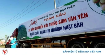 Xuất khẩu vào thị trường Nhật Bản: Doanh nghiệp cần chuẩn bị kỹ lưỡng và dài hạn