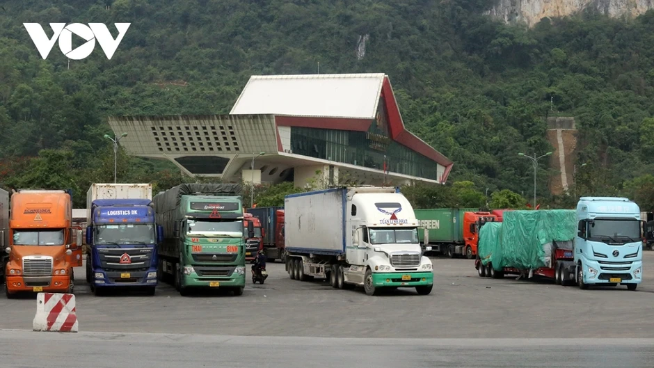 Xuất khẩu vào Trung Quốc: Doanh nghiệp cần nắm rõ Lệnh 280 của GACC