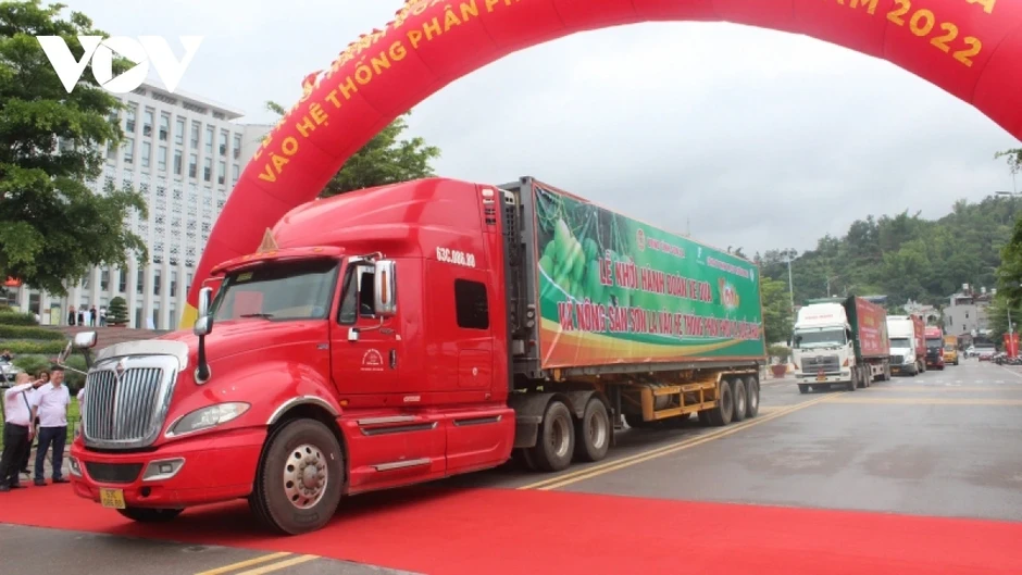 Xuất khẩu vào Trung Quốc: Doanh nghiệp cần nắm rõ Lệnh 280 của GACC