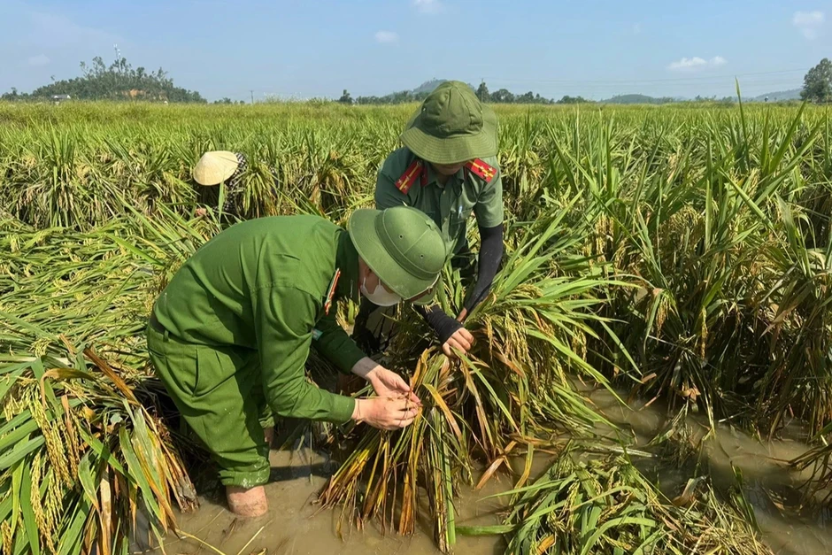 "Lá đơn" đặc biệt người nông dân gửi công an xã "Lá đơn" đặc biệt người nông dân gửi công an xã