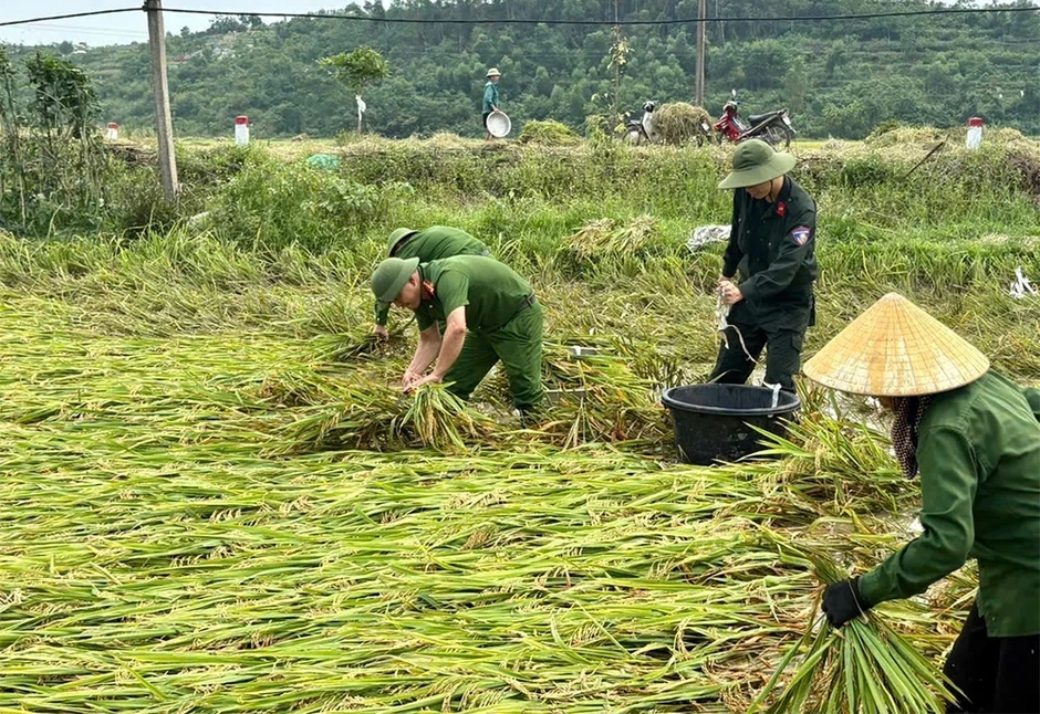 "Lá đơn" đặc biệt người nông dân gửi công an xã "Lá đơn" đặc biệt người nông dân gửi công an xã