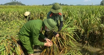 "Lá đơn" đặc biệt người nông dân gửi công an xã