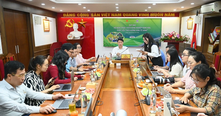 “Sâm Lai Châu không thua kém gì sâm Ngọc Linh” “Sâm Lai Châu không thua kém gì sâm Ngọc Linh”
