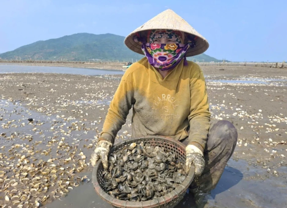 120 tấn ngao chết trắng đầm 120 tấn ngao chết trắng đầm
