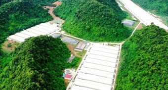 3 người tử vong, 4 người bị thương trong vụ tai nạn tại trang trại lợn ở Thanh Hóa