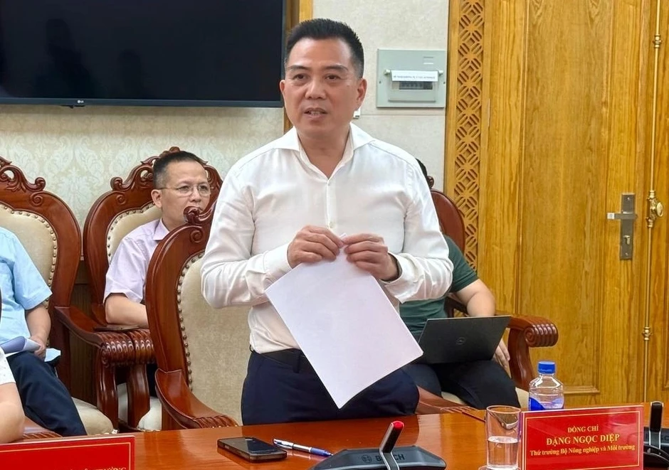 30 ngày thanh tra về nhà, đất dôi dư sau sắp xếp tại Bộ NN&MT 30 ngày thanh tra về nhà, đất dôi dư sau sắp xếp tại Bộ NN&MT