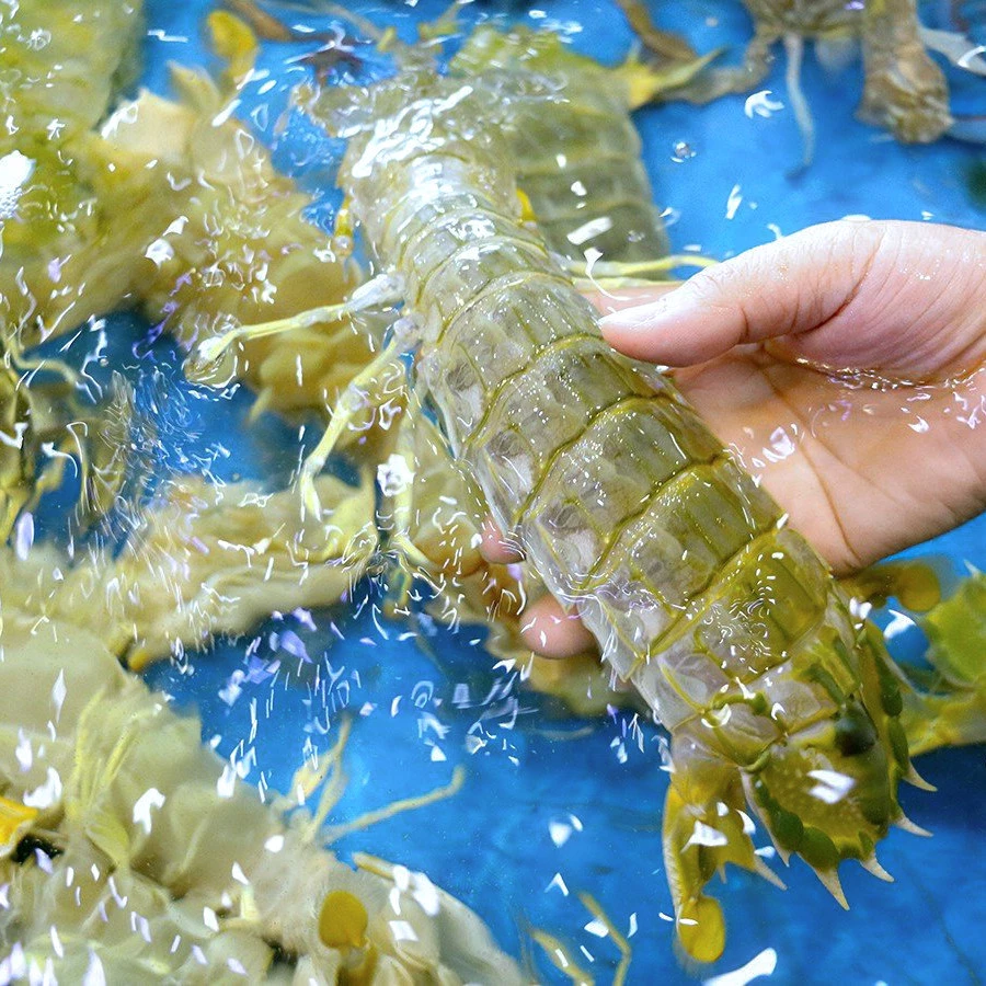 4 chỗ cần xem ngay khi chọn mua bề bề