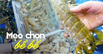 4 chỗ cần xem ngay khi chọn mua bề bề