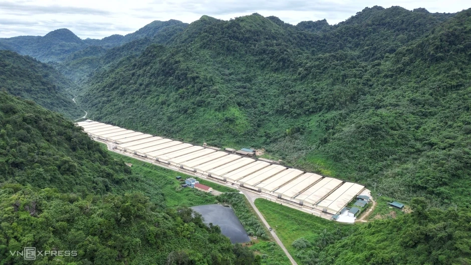 5 công nhân tử vong trong trại lợn do 'sự cố tắc đường ống'