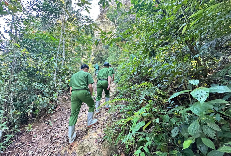 50 người tìm cụ ông 92 tuổi vào rừng cắt cỏ rồi mất tích 50 người tìm cụ ông 92 tuổi vào rừng cắt cỏ rồi mất tích
