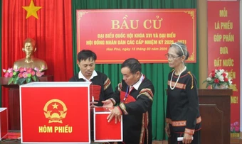 84 người trúng cử đại biểu HĐND tỉnh Đắk Lắk, nhiệm kỳ 2026-2031