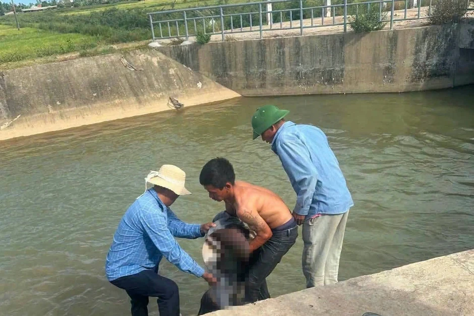 Anh rơi xuống kênh, em chạy đi gọi người ứng cứu nhưng không kịp Anh rơi xuống kênh, em chạy đi gọi người ứng cứu nhưng không kịp