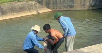 Anh rơi xuống kênh, em chạy đi gọi người ứng cứu nhưng không kịp