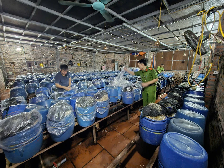 Ba chủ cơ sở 'tuồn' gần 1.000 tấn giá đỗ ngâm 'nước kẹo' ra thị trường Ba chủ cơ sở 'tuồn' gần 1.000 tấn giá đỗ ngâm 'nước kẹo' ra thị trường