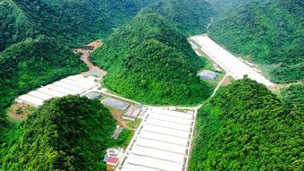 Ba người tử vong do tai nạn trong trang trại chăn nuôi
