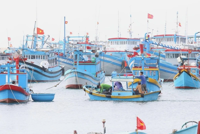 Bài 4: Ngư dân, doanh nghiệp xoay trục tiết kiệm ứng phó với giá nhiên liệu Bài 4: Ngư dân, doanh nghiệp xoay trục tiết kiệm ứng phó với giá nhiên liệu