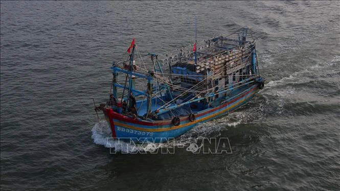 Ban hành Quy chế hoạt động của Ban Chỉ đạo về IUU Ban hành Quy chế hoạt động của Ban Chỉ đạo về IUU