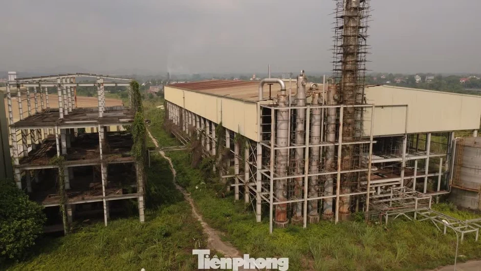 Bán xăng E10: Cơ hội hồi sinh các nhà máy ethanol 'đắp chiếu' Bán xăng E10: Cơ hội hồi sinh các nhà máy ethanol 'đắp chiếu'