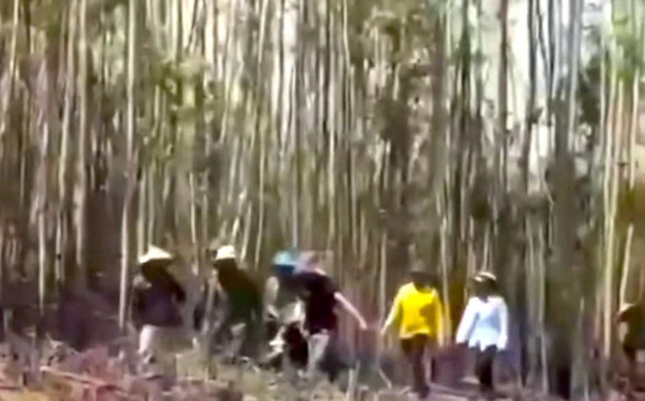 Bàng hoàng phát hiện hai vợ chồng tử vong khi đi đốt thực bì Bàng hoàng phát hiện hai vợ chồng tử vong khi đi đốt thực bì