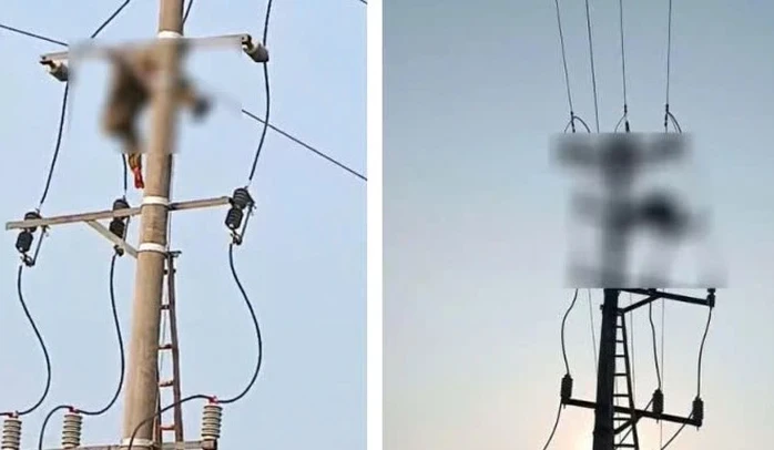 Bàng hoàng phát hiện thi thể nam sinh treo trên cột điện trung thế Bàng hoàng phát hiện thi thể nam sinh treo trên cột điện trung thế