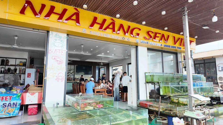 Bão sắp đổ bộ, gần 6.000 du khách đang ở các đảo Quảng Ninh Bão sắp đổ bộ, gần 6.000 du khách đang ở các đảo Quảng Ninh